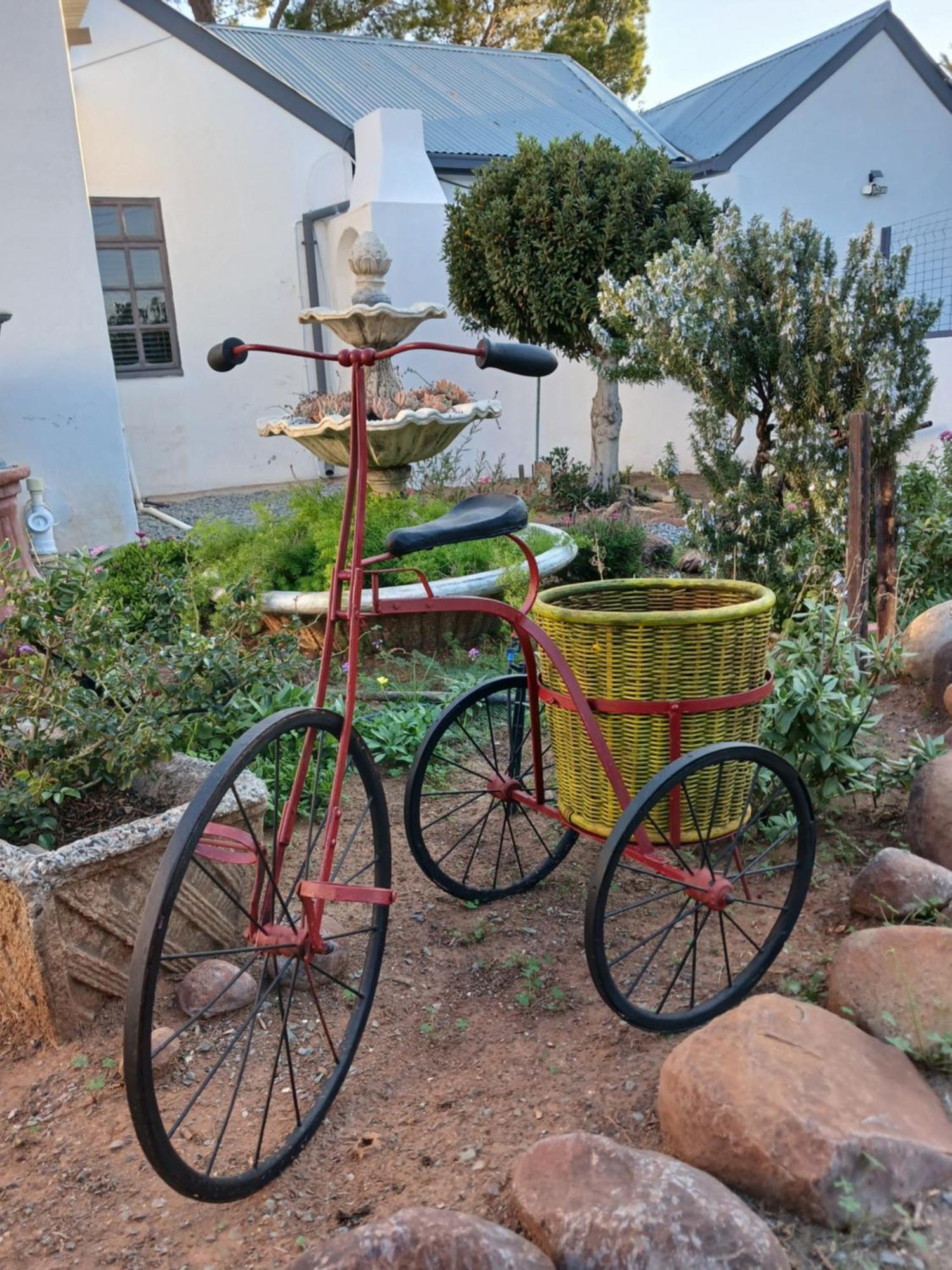 Karoo Rust * Victoria West